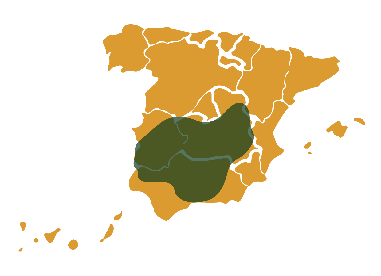 Mapa zonas de caza del Ciervo