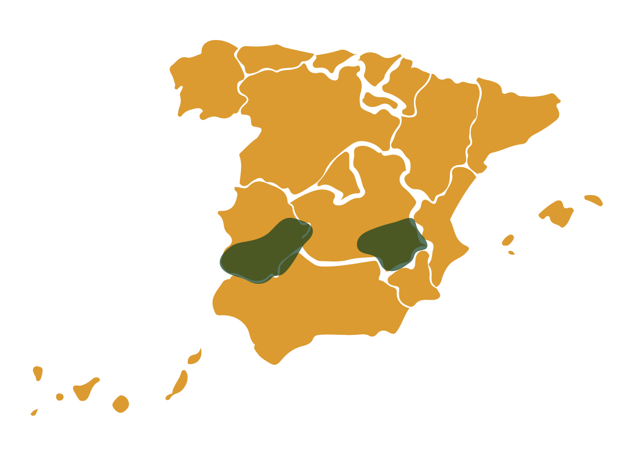 Mapa zonas de caza de perdiz